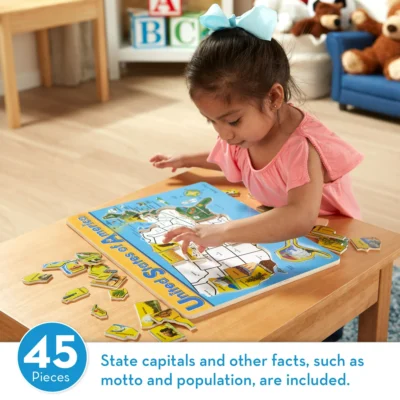 USA Map Wooden Puzzle (45 pcs)